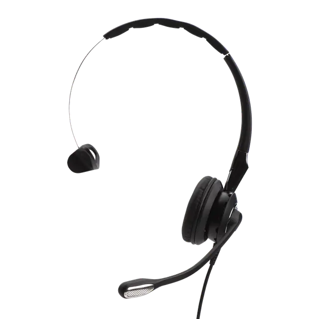 Jabra BIZ 2400 II